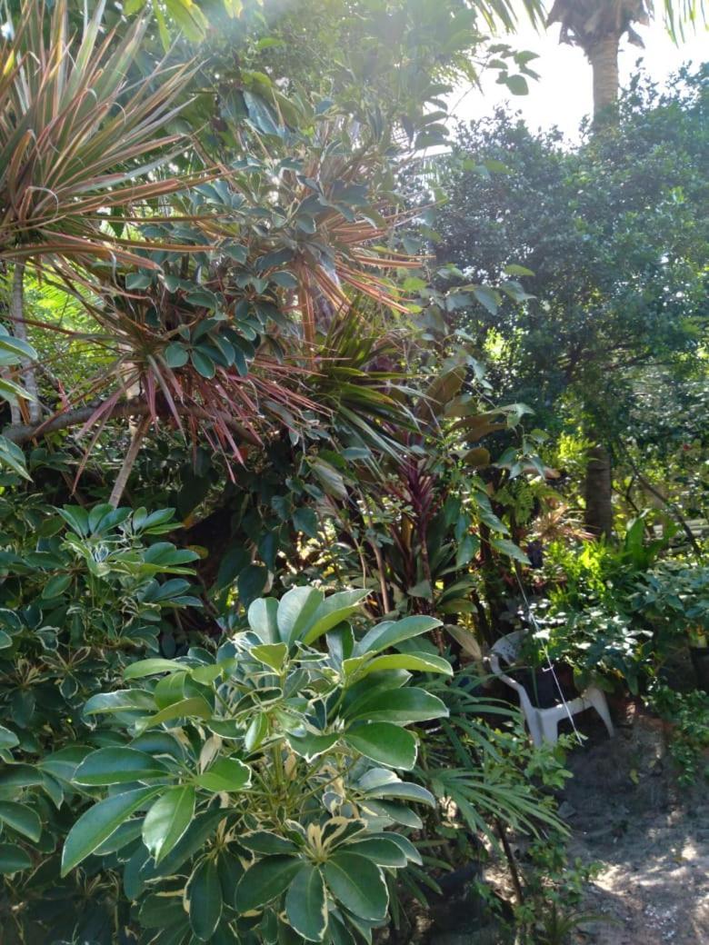 Hospedaria D'Maria Salvador Ngoại thất bức ảnh